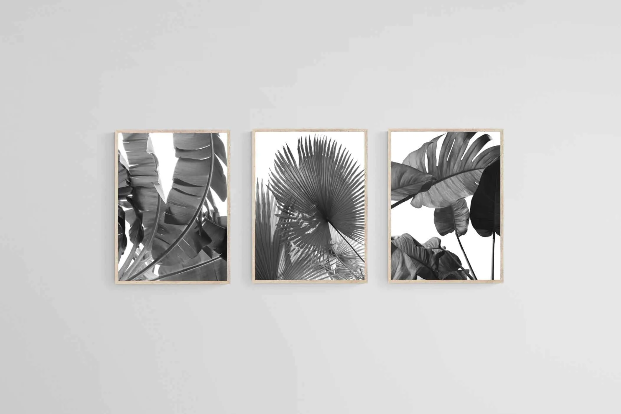 Black & White Foliage Set