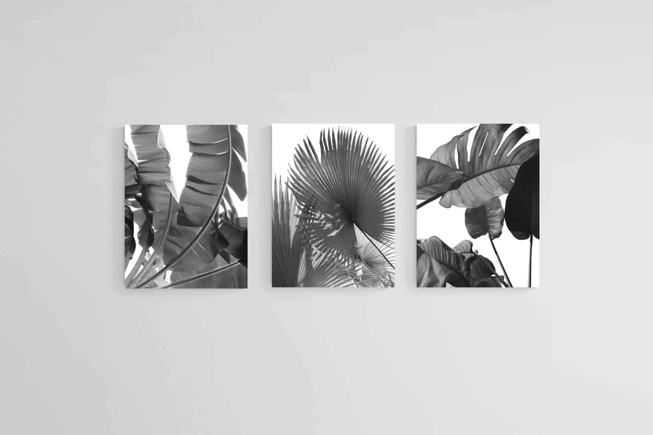 Black & White Foliage Set