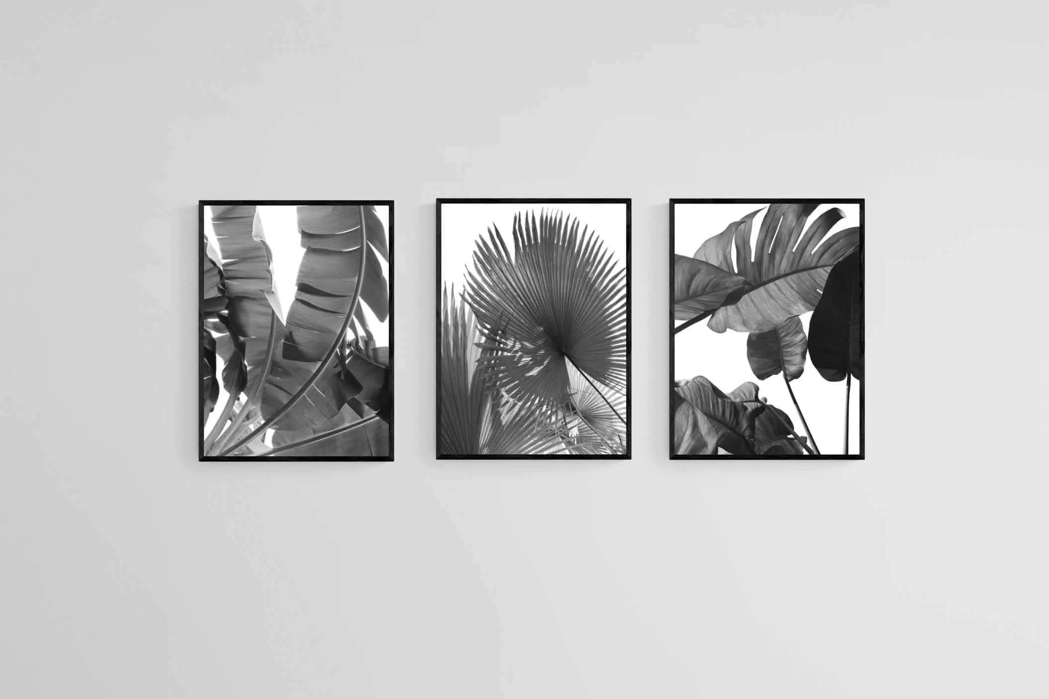 Black & White Foliage Set