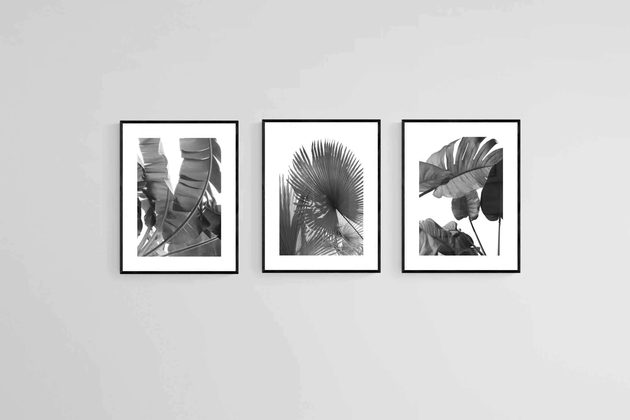 Black & White Foliage Set