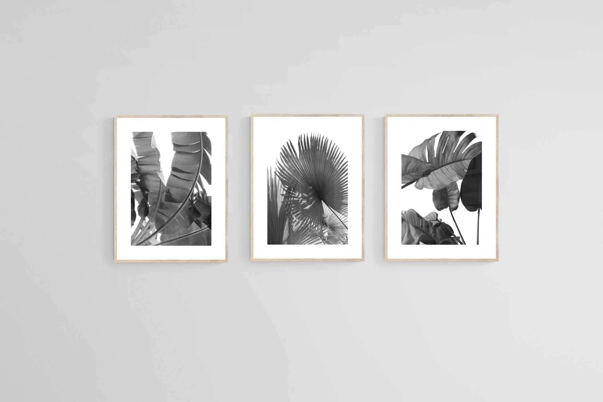 Black & White Foliage Set