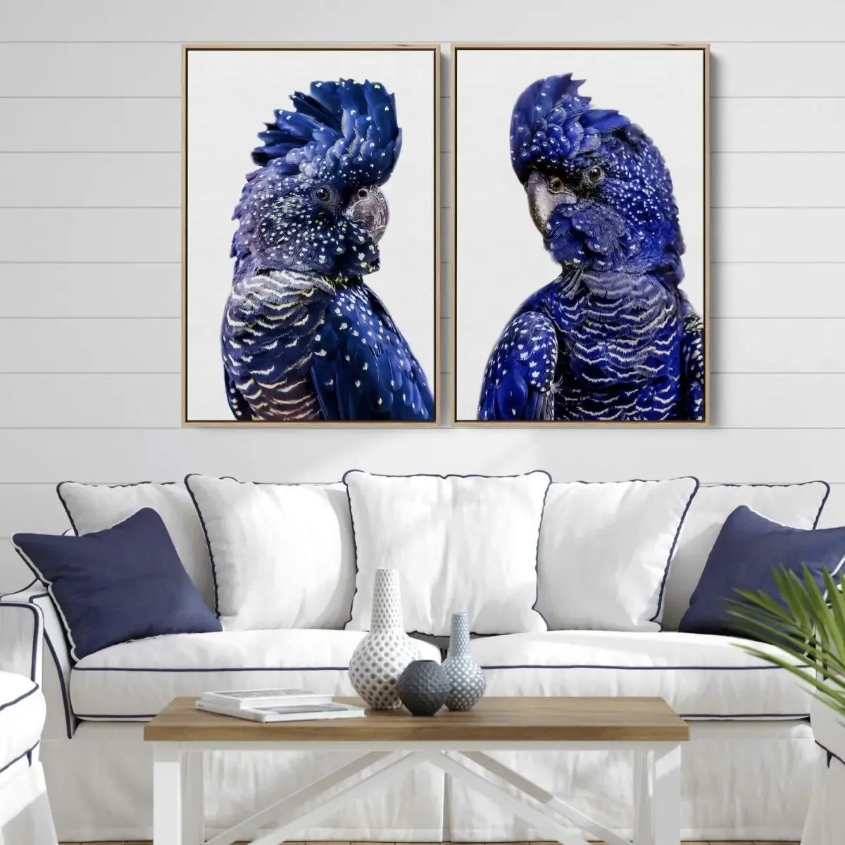 Black Cockatoo Pair - Two Piece Black Cockatoo Stretched Canvas Framed Wall Art