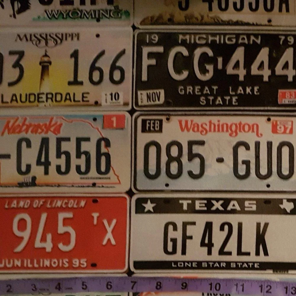 Cotton Canvas Wall of United States License Plates