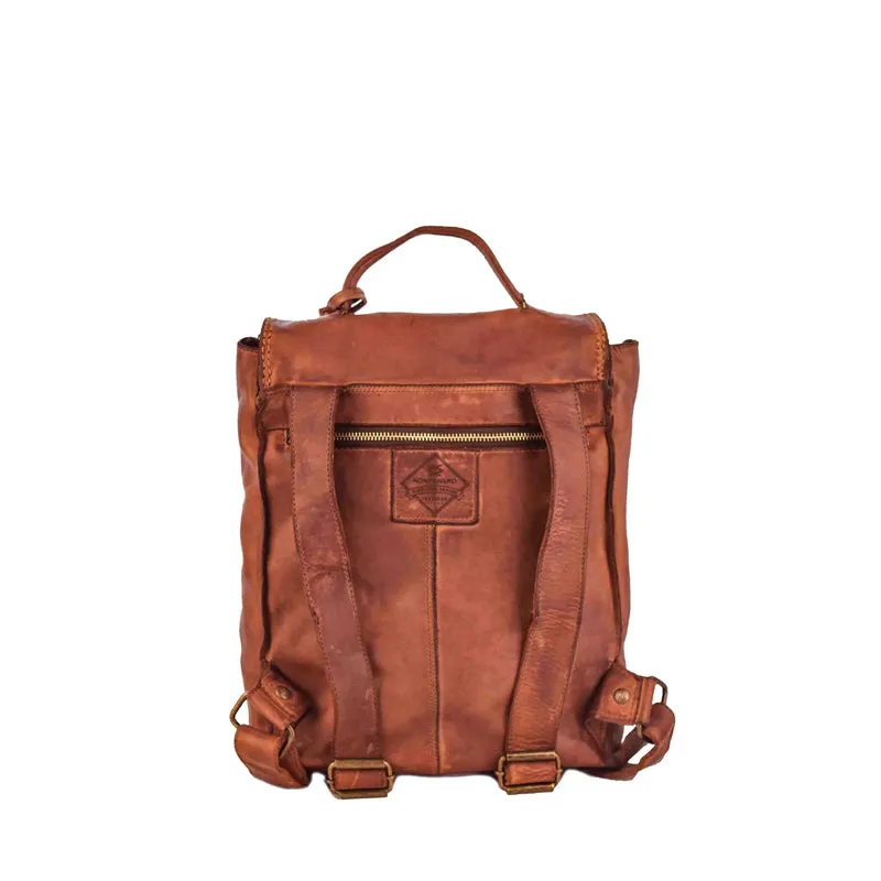 Rover - The laptop backpack