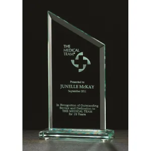 Zenith Series Glass Award